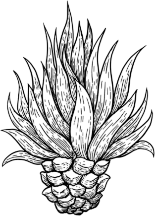 df69ed5e2e311b3abd05d5806f9c990e-PhotoRoom.png-PhotoRoom